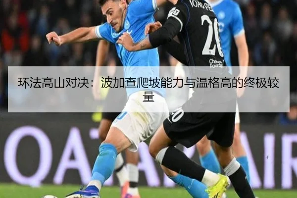 环法高山对决：波加查爬坡能力与温格高的终极较量