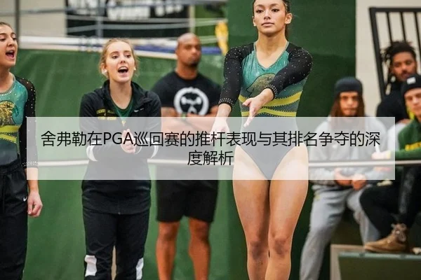she-fu-lei-zai-xun-hui-sai-de-tui-gan-biao-xian-yu-qi-pai-ming-zheng-duo-de-shen-du-jie-xi-3-158.jpg